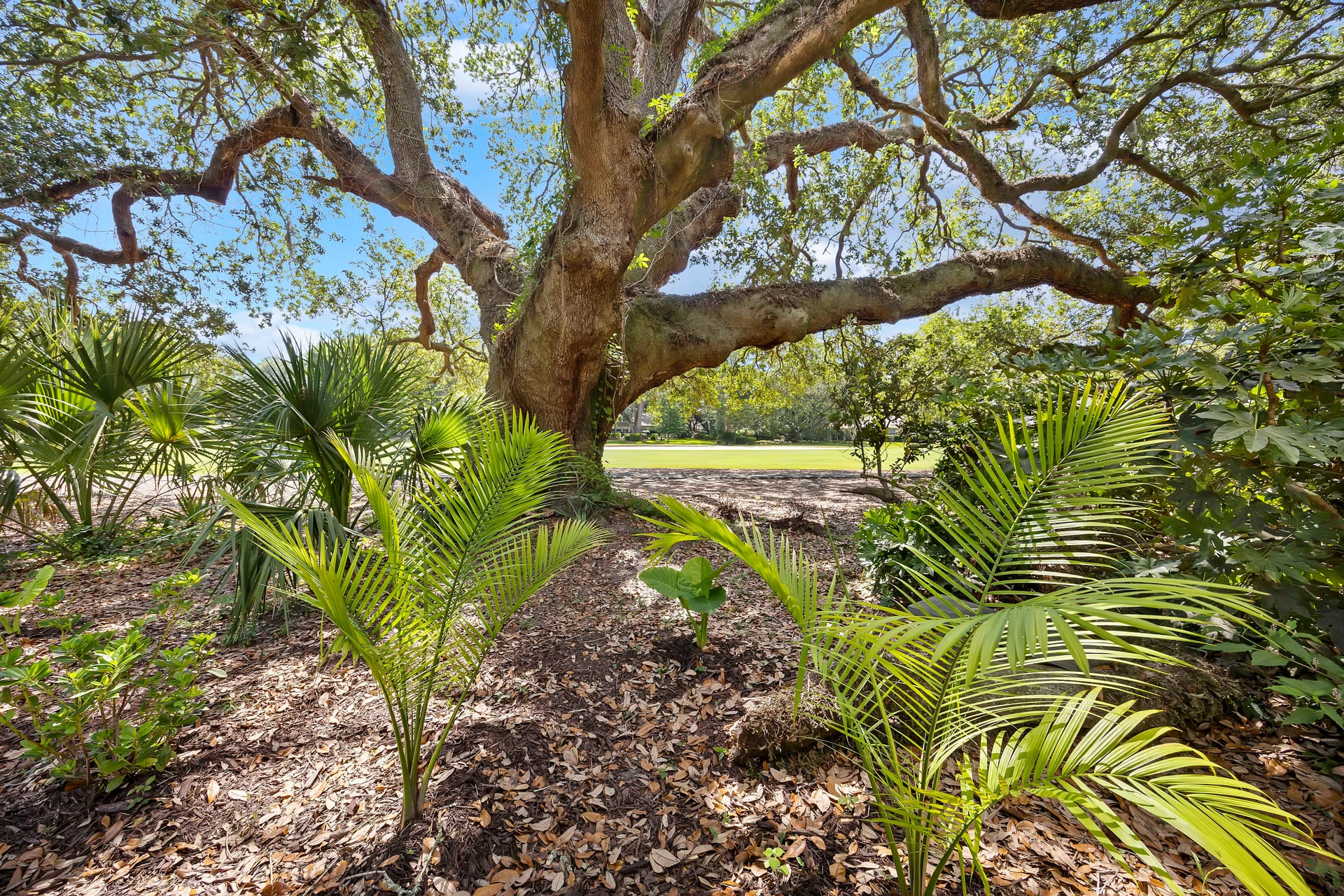 Outdoor Living — 4 Robbers Row, Port Royal