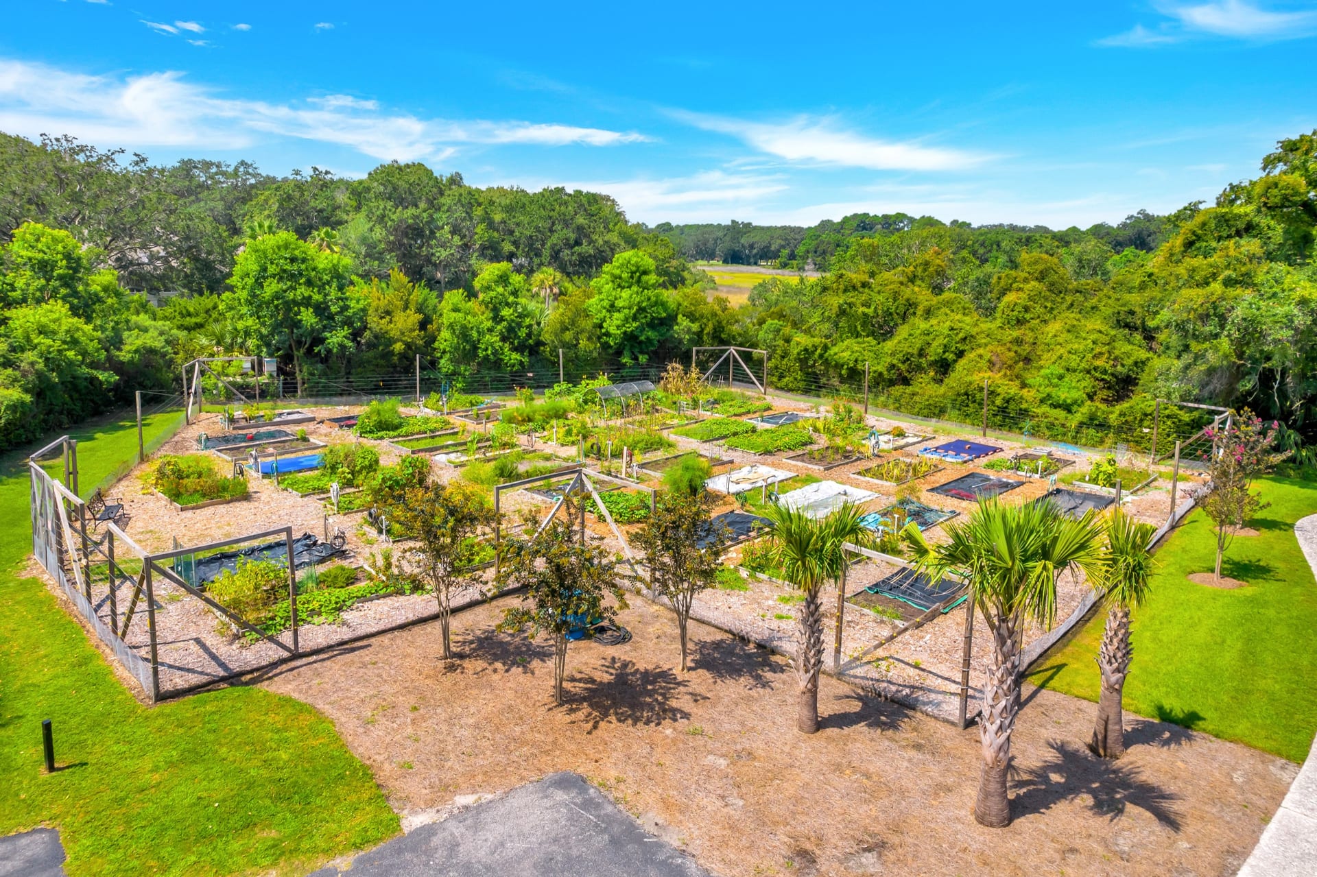 Aerial view — 4 Robbers Row, Port Royal